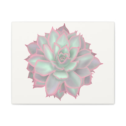 Echeveria Violet Queen Succulent Canvas Print – Botanical Wall Art