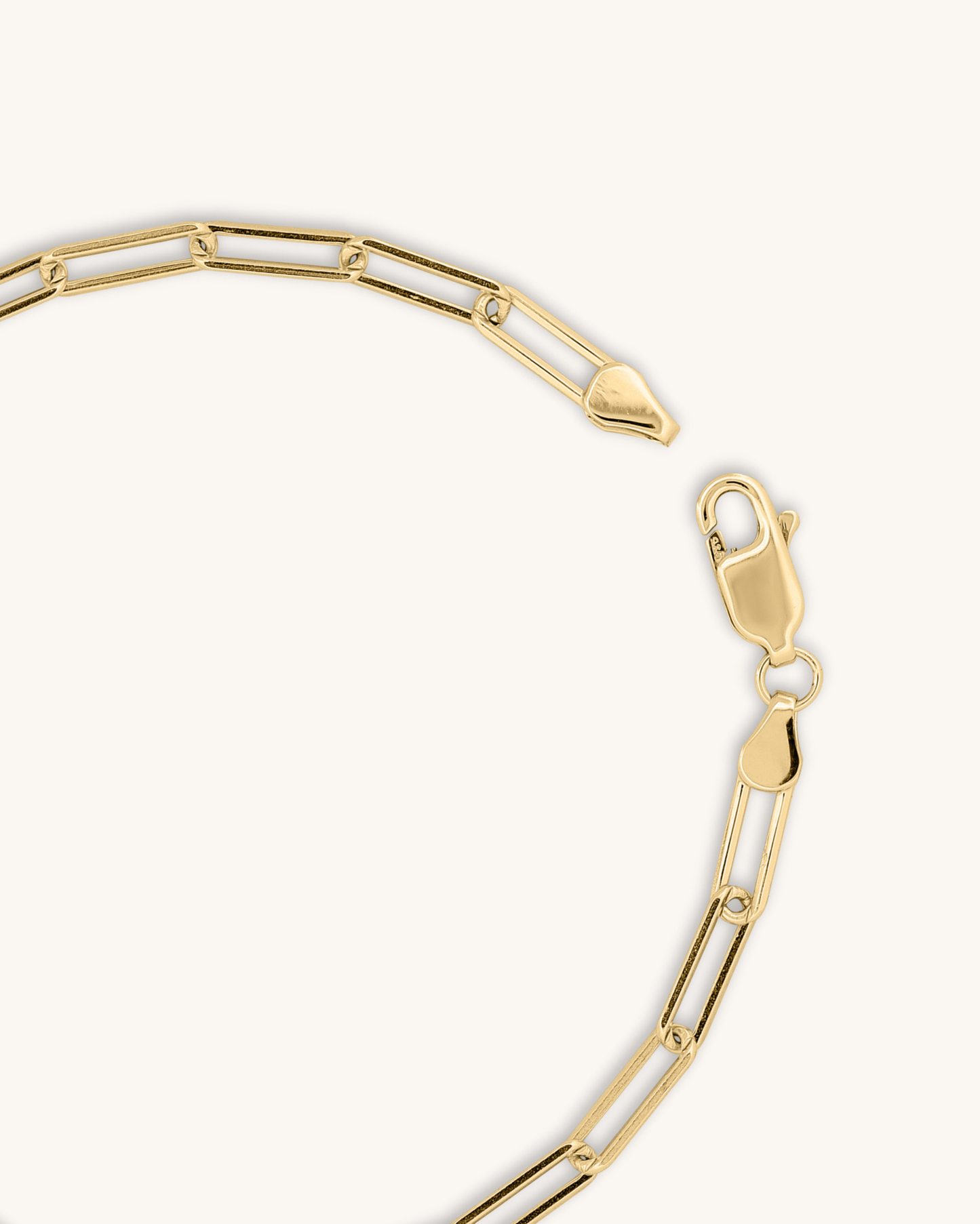 Paperclip Bracelet