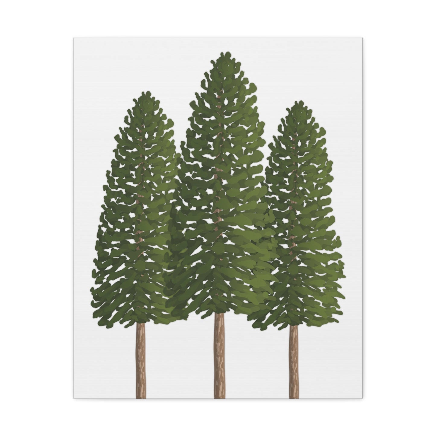 Ponderosa Pine Canvas Print – Wall Art