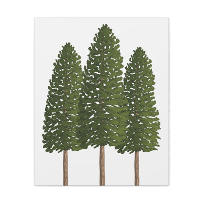 Ponderosa Pine Canvas Print – Wall Art
