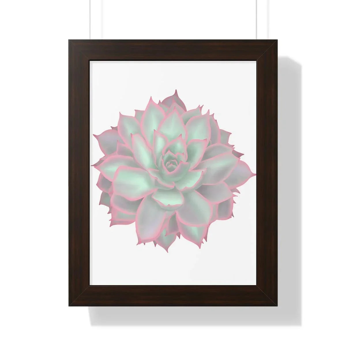 Echeveria Violet Queen Succulent Framed Print – Botanical Wall Art