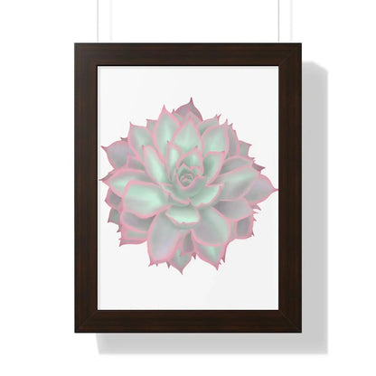 Echeveria Violet Queen Succulent Framed Print – Botanical Wall Art