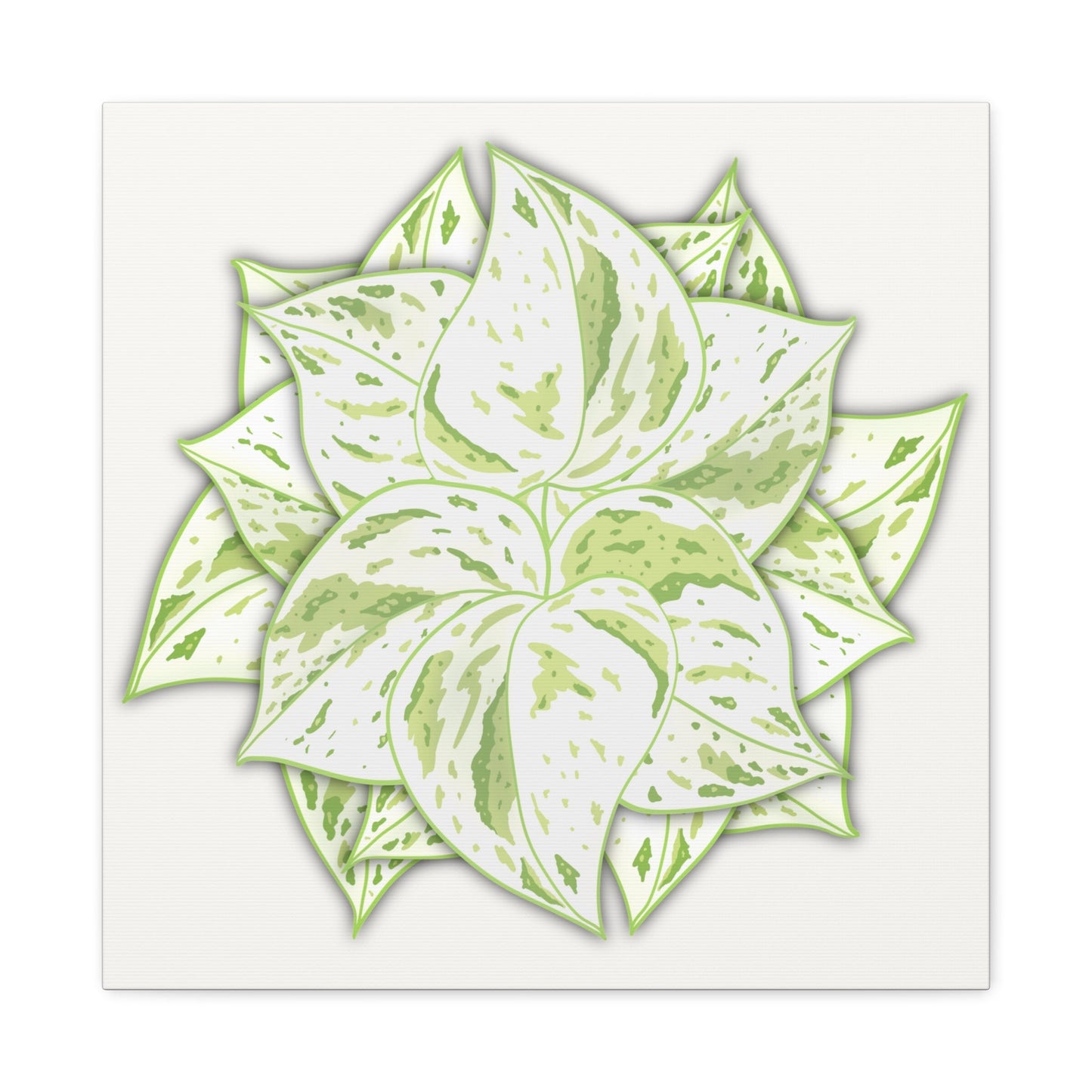 Snow Queen Pothos Canvas Print – Botanical Wall Art