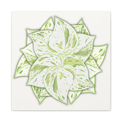 Snow Queen Pothos Canvas Print – Botanical Wall Art