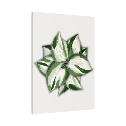 Manjula Pothos Canvas Print – Botanical Wall Art