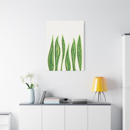 Snake Plant Canvas Print – Botanical Wall Art