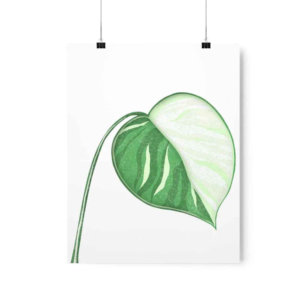 Monstera Albo Botanical Print – Unframed Wall Art
