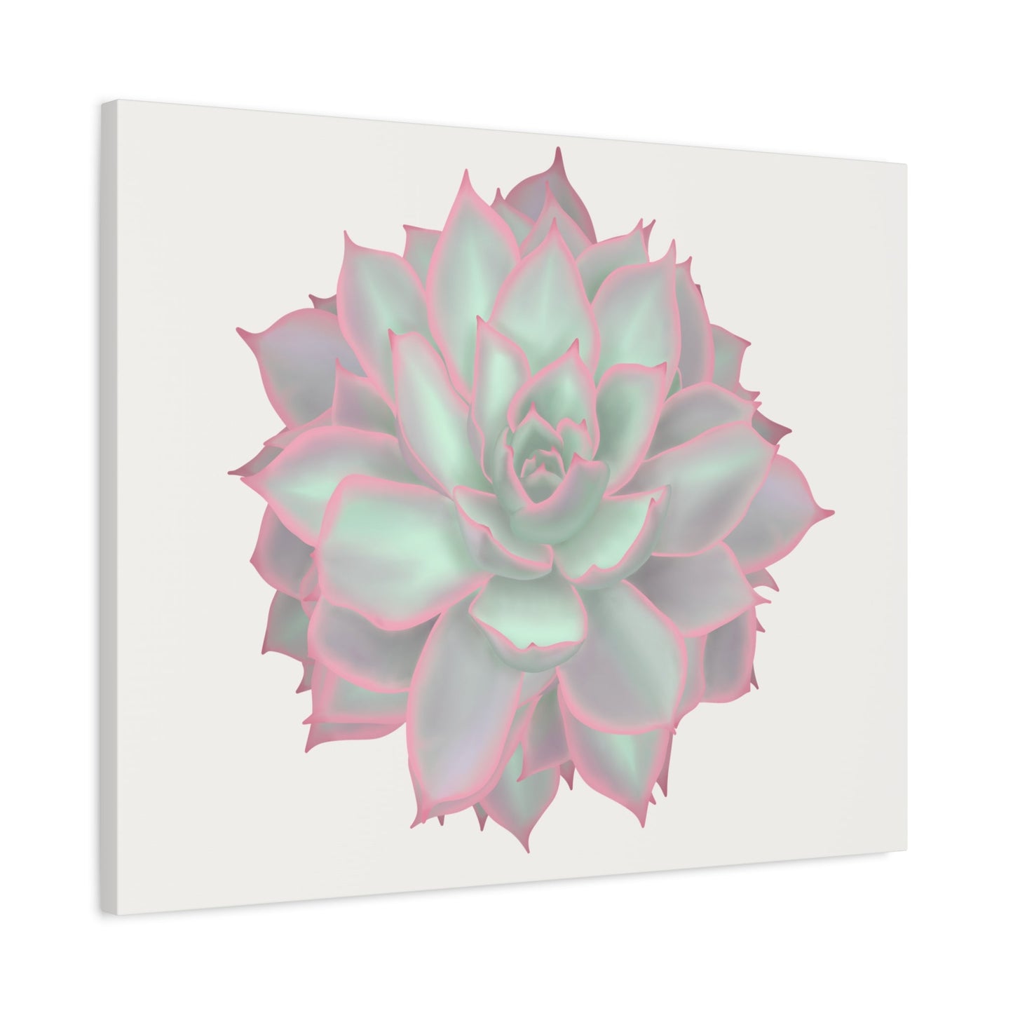 Echeveria Violet Queen Succulent Canvas Print – Botanical Wall Art