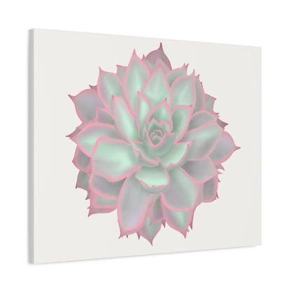 Echeveria Violet Queen Succulent Canvas Print – Botanical Wall Art
