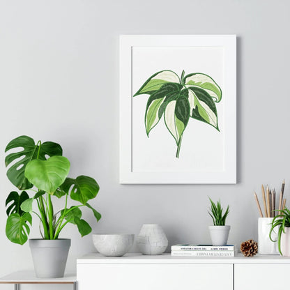 Philodendron Cream Splash Framed Print – Botanical Wall Art