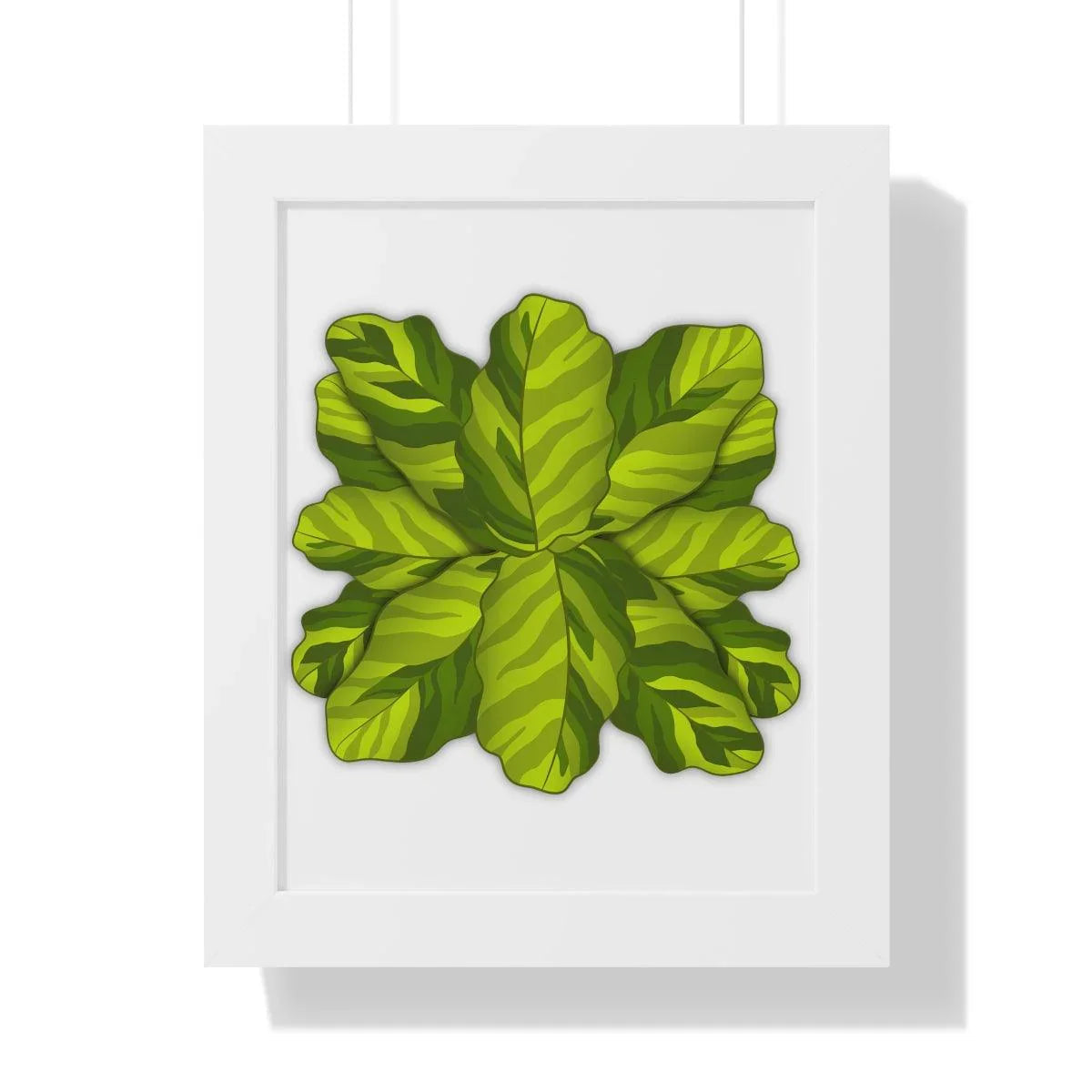 Calathea Yellow Fusion Framed Print – Botanical Wall Art