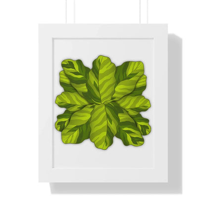 Calathea Yellow Fusion Framed Print – Botanical Wall Art