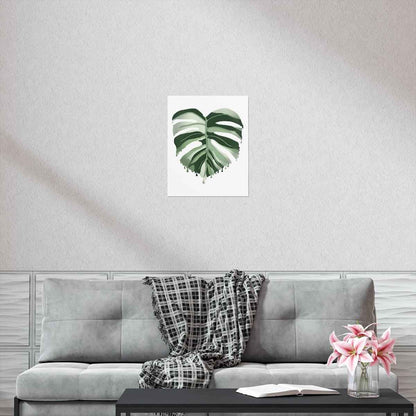 Melting Monstera Albo Botanical Print – Unframed Wall Art