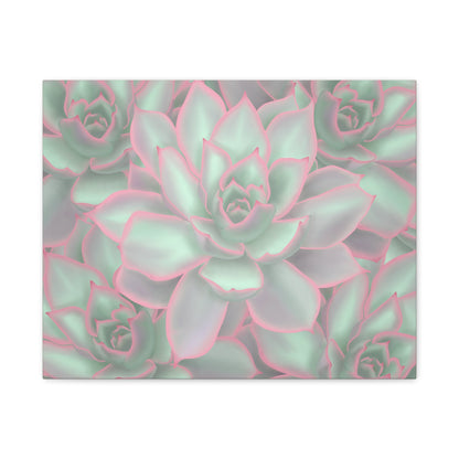 Echeveria Violet Queen Succulent Pattern Canvas Print – Botanical Wall Art
