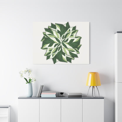 Calathea White Fusion Canvas Print – Botanical Wall Art