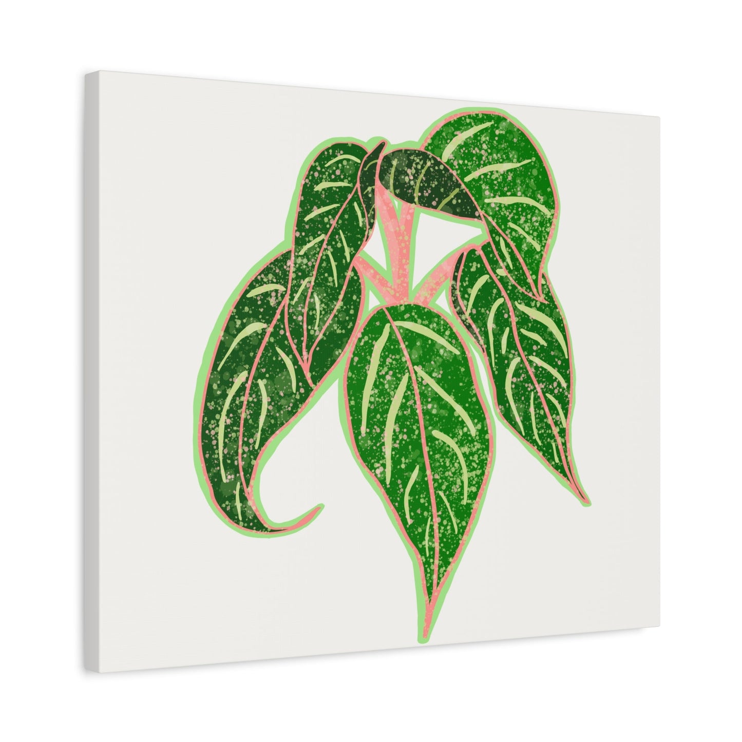 Aglaonema Sparkling Sarah Canvas Print – Botanical Wall Art