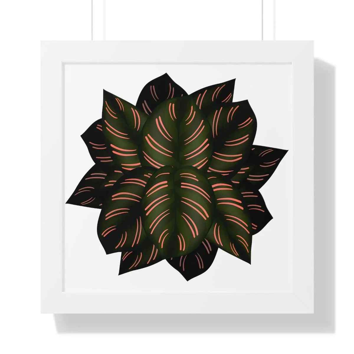 Calathea Pinstripe Framed Print – Botanical Wall Art
