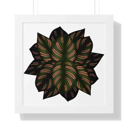 Calathea Pinstripe Framed Print – Botanical Wall Art