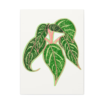 Aglaonema Sparkling Sarah Canvas Print – Botanical Wall Art
