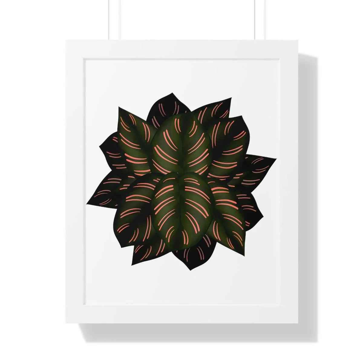Calathea Pinstripe Framed Print – Botanical Wall Art