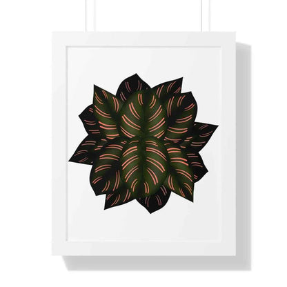 Calathea Pinstripe Framed Print – Botanical Wall Art