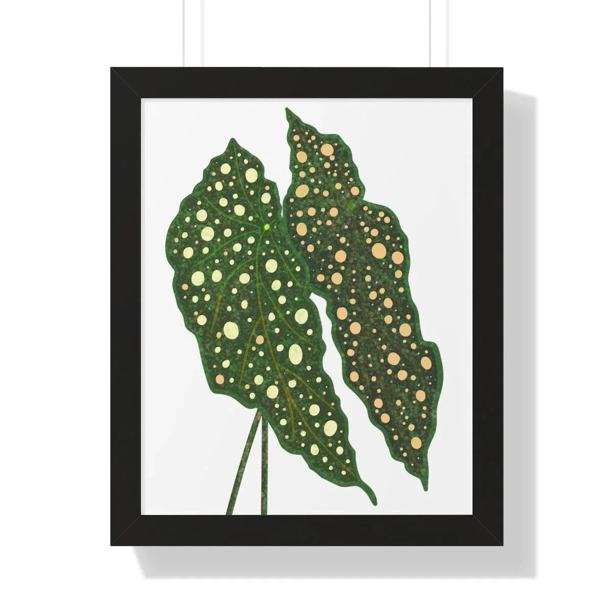 Begonia Maculata Framed Print – Botanical Wall Art