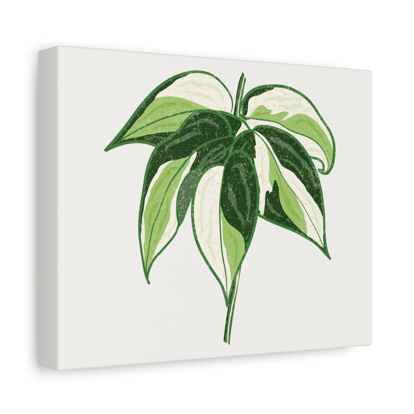 Philodendron Cream Splash Canvas Print – Botanical Wall Art
