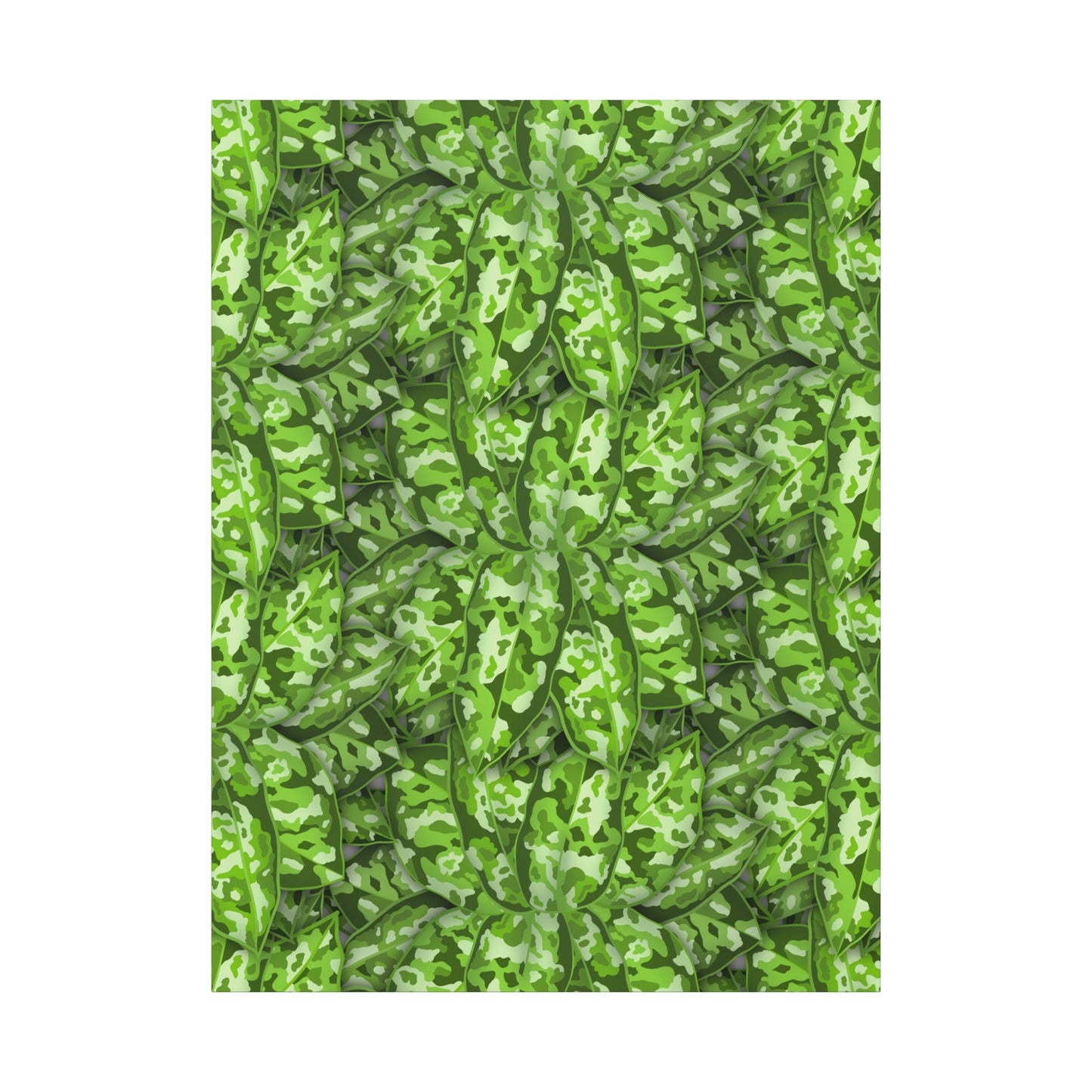 Aglaonema Pictum Canvas Print – Botanical Wall Art