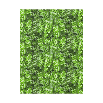Aglaonema Pictum Canvas Print – Botanical Wall Art