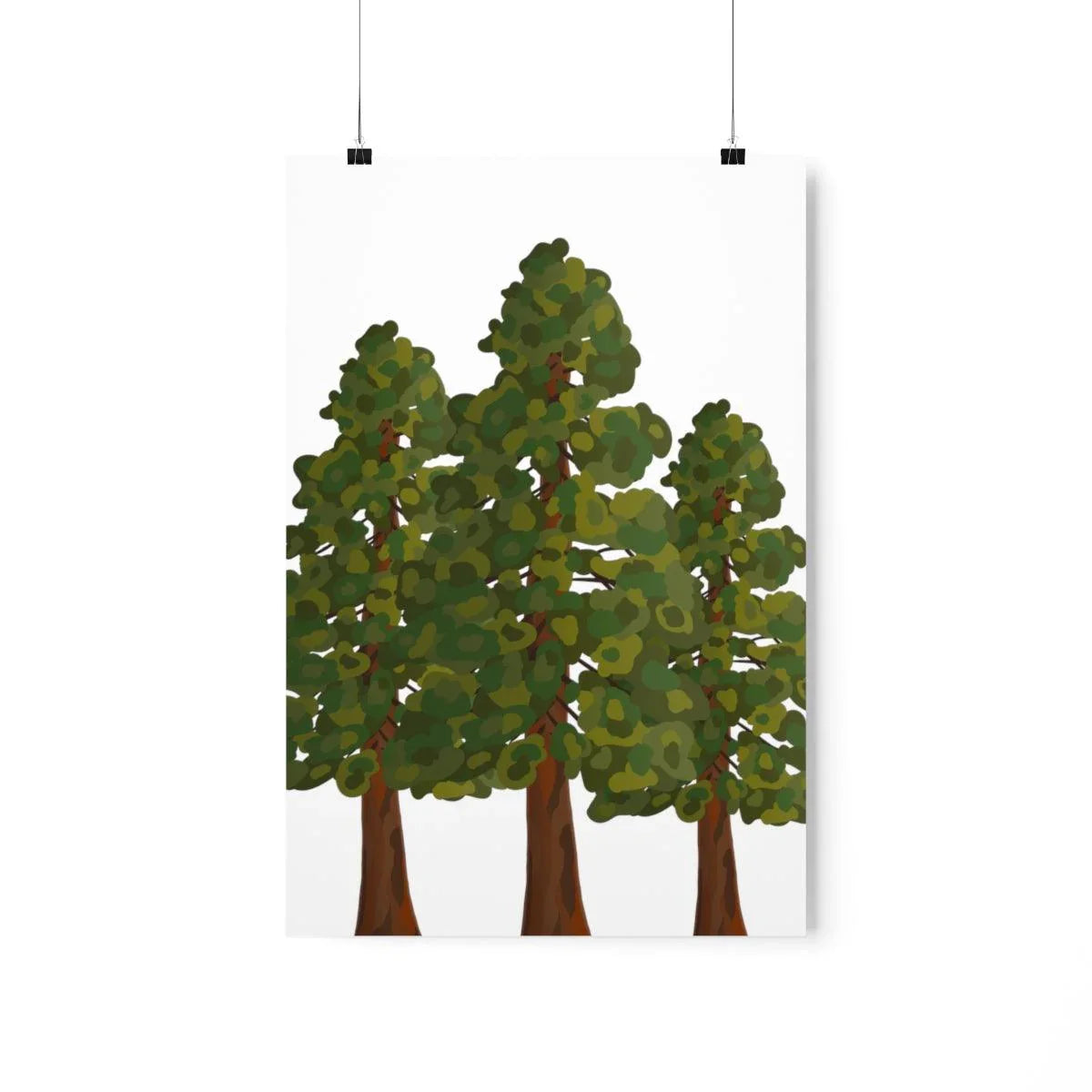 Coastal Redwood Print – Unframed Wall Art
