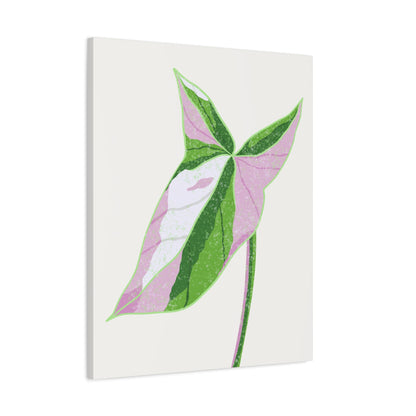 Syngonium Tricolor Canvas Print – Botanical Wall Art