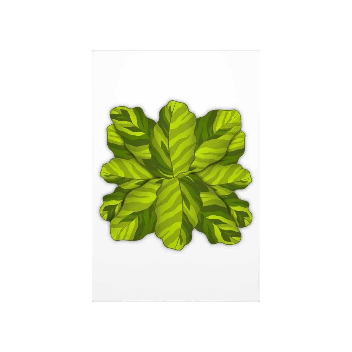 Calathea Yellow Fusion Botanical Print – Unframed Wall Art