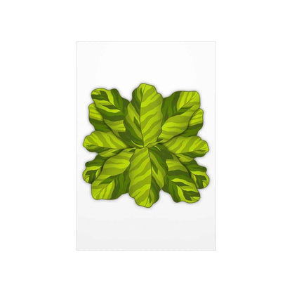 Calathea Yellow Fusion Botanical Print – Unframed Wall Art