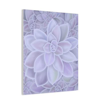 Graptopetalum Murasaki Succulent Pattern Canvas Print – Botanical Wall Art
