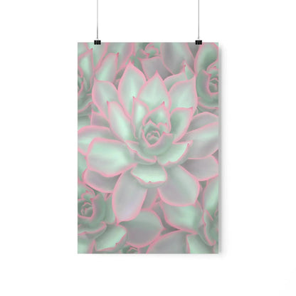 Echeveria Violet Queen Succulent Pattern Botanical Print – Unframed Wall Art