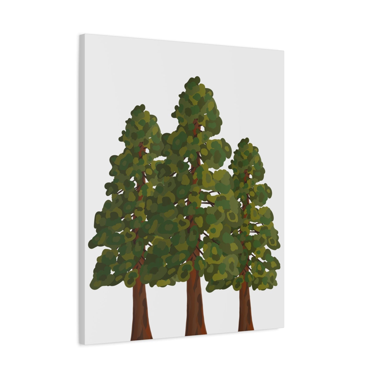 Coastal Redwood Canvas Print – Wall Art
