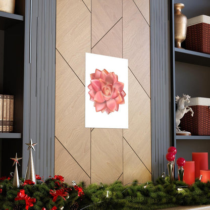 Graptosedum California Sunset Succulent Botanical Print – Unframed Wall Art