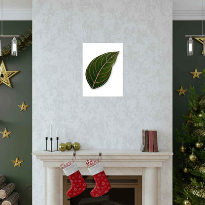 Aglaonema Rotundum Botanical Print – Unframed Wall Art