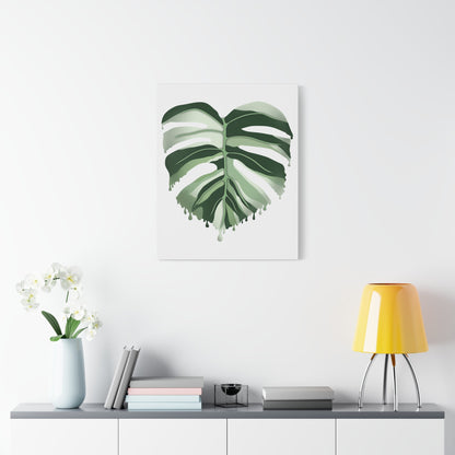 Melting Monstera Albo Canvas Print – Botanical Wall Art