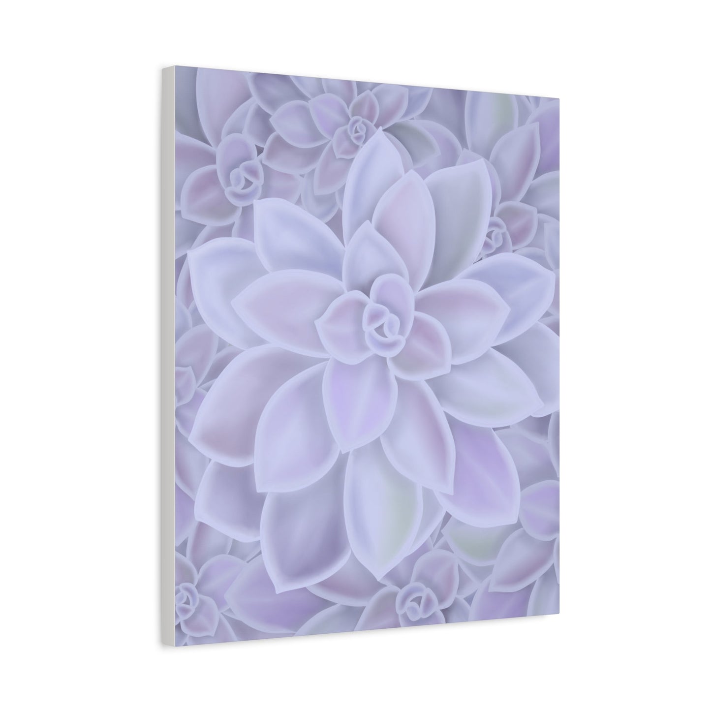 Graptopetalum Murasaki Succulent Pattern Canvas Print – Botanical Wall Art
