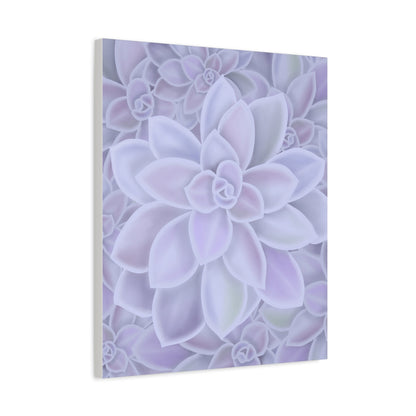 Graptopetalum Murasaki Succulent Pattern Canvas Print – Botanical Wall Art