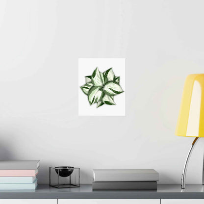 Manjula Pothos Botanical Print – Unframed Wall Art