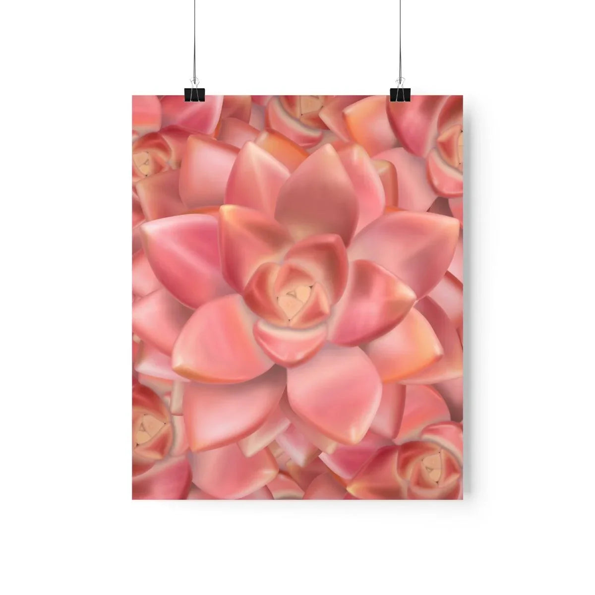 Graptosedum California Sunset Succulent Pattern Botanical Print – Unframed Wall Art
