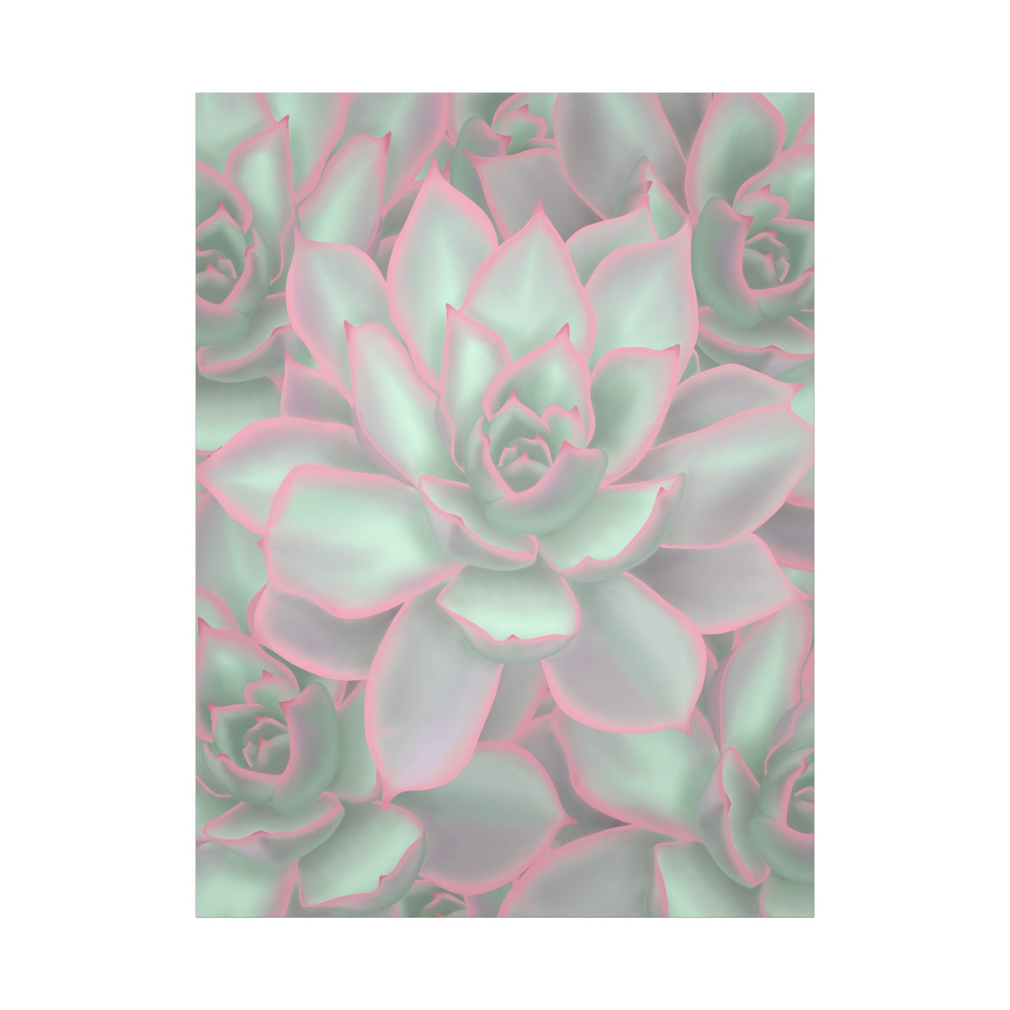 Echeveria Violet Queen Succulent Pattern Canvas Print – Botanical Wall Art