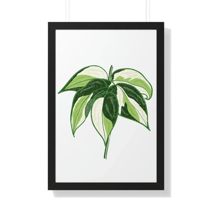 Philodendron Cream Splash Framed Print – Botanical Wall Art
