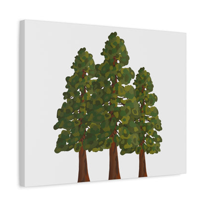 Coastal Redwood Canvas Print – Wall Art