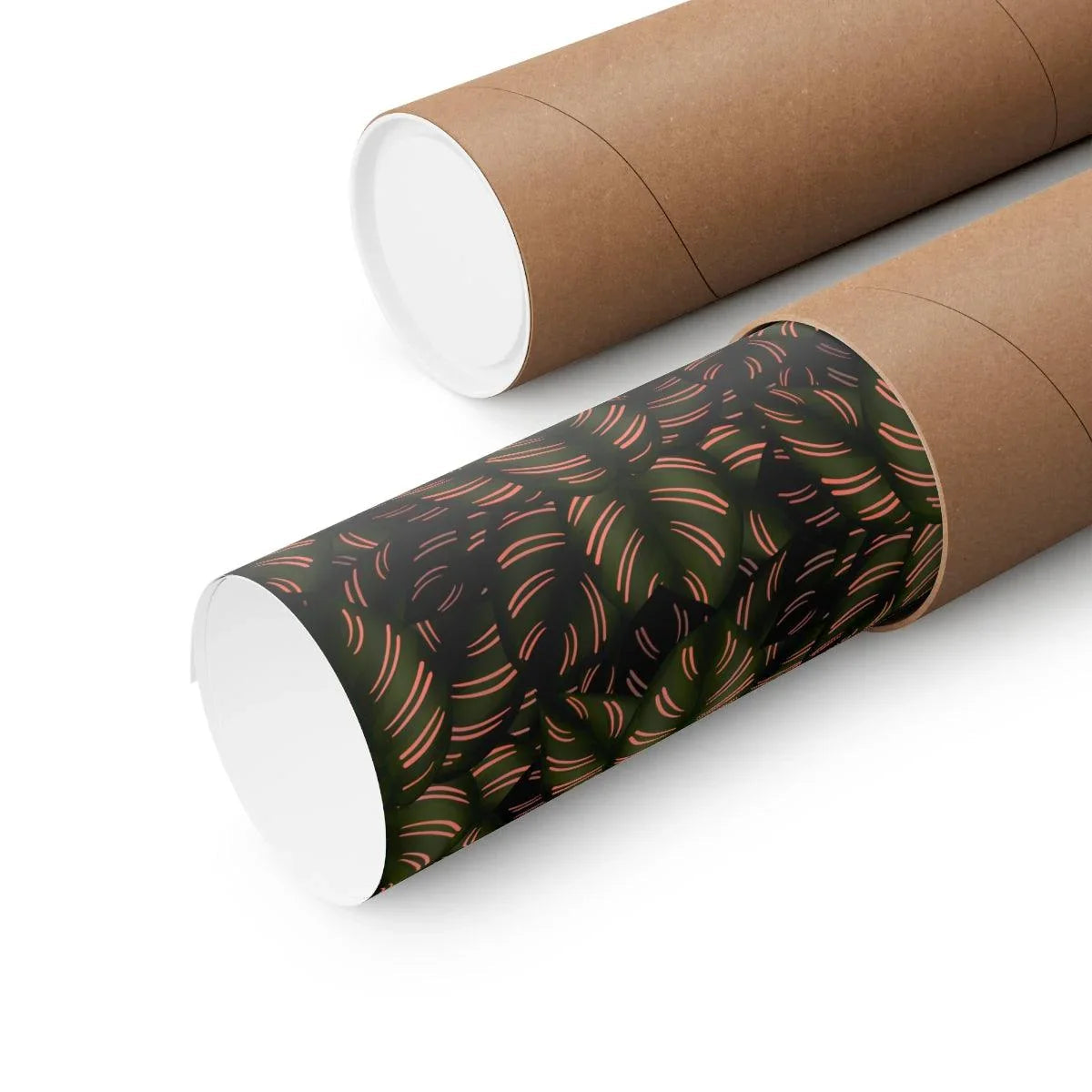 Calathea Pinstripe Botanical Print – Unframed Wall Art