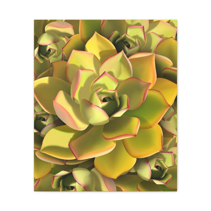 Noble Aeonium Succulent Pattern Canvas Print – Botanical Wall Art