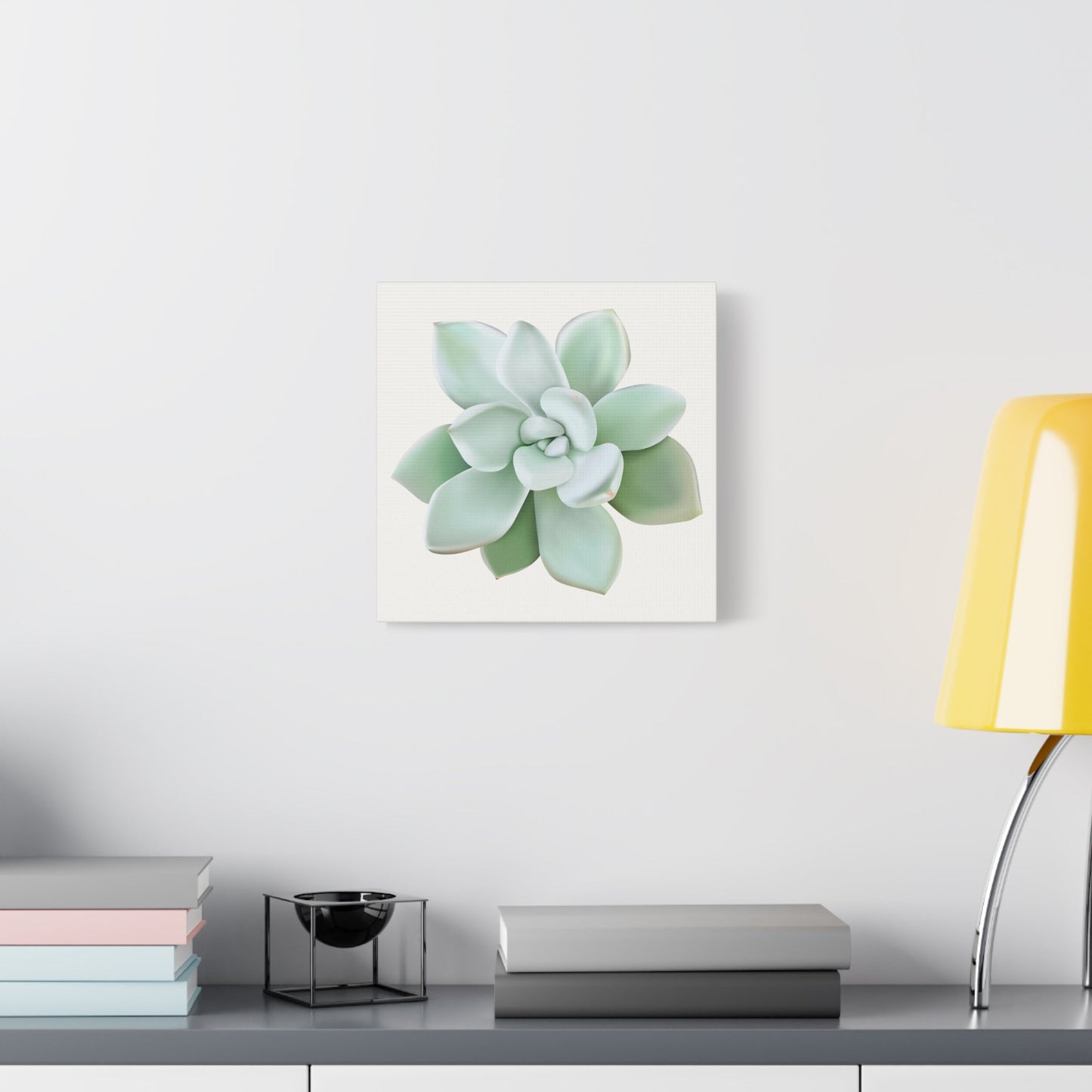 Pachyveria Haagei Succulent Canvas Print – Botanical Wall Art
