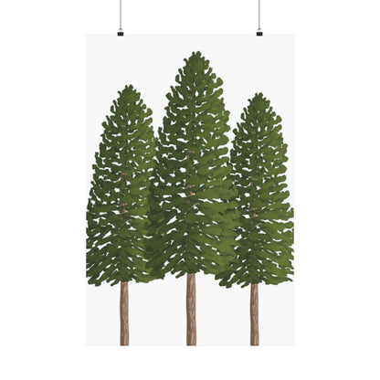 Ponderosa Pine Print – Unframed Wall Art